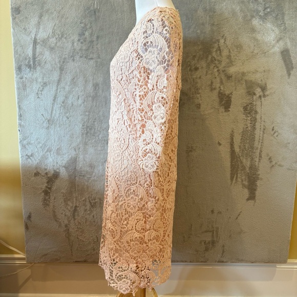 Romantic Rosette Coquette Lace Embroidered Elegant Pink Dress Sz 8 - Picture 9 of 12